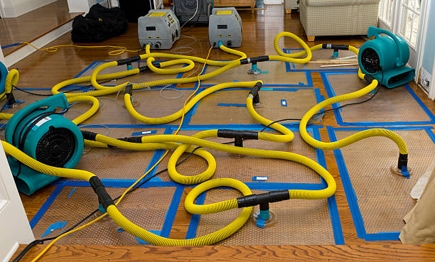 Professional Sewage Cleanup technician working in Liberty, IN